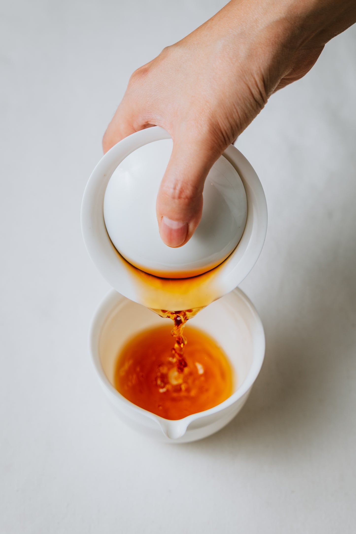 Purchase Consultation (1h)