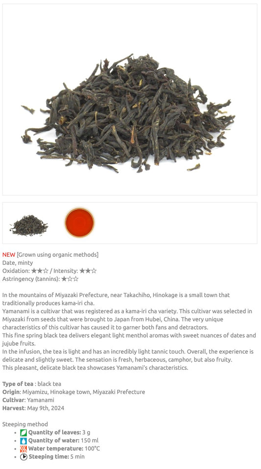 Wakoucha Yamanami 2nd Flush Hinokage 20g