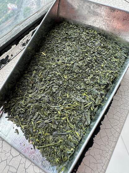 Sencha Cold Brew Blend 20g