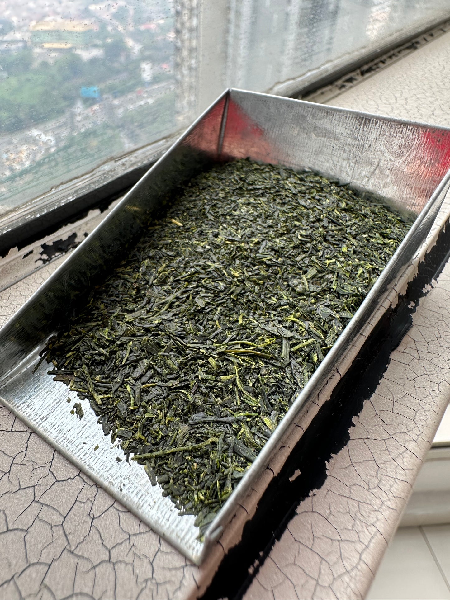 Sencha Cold Brew Blend 20g